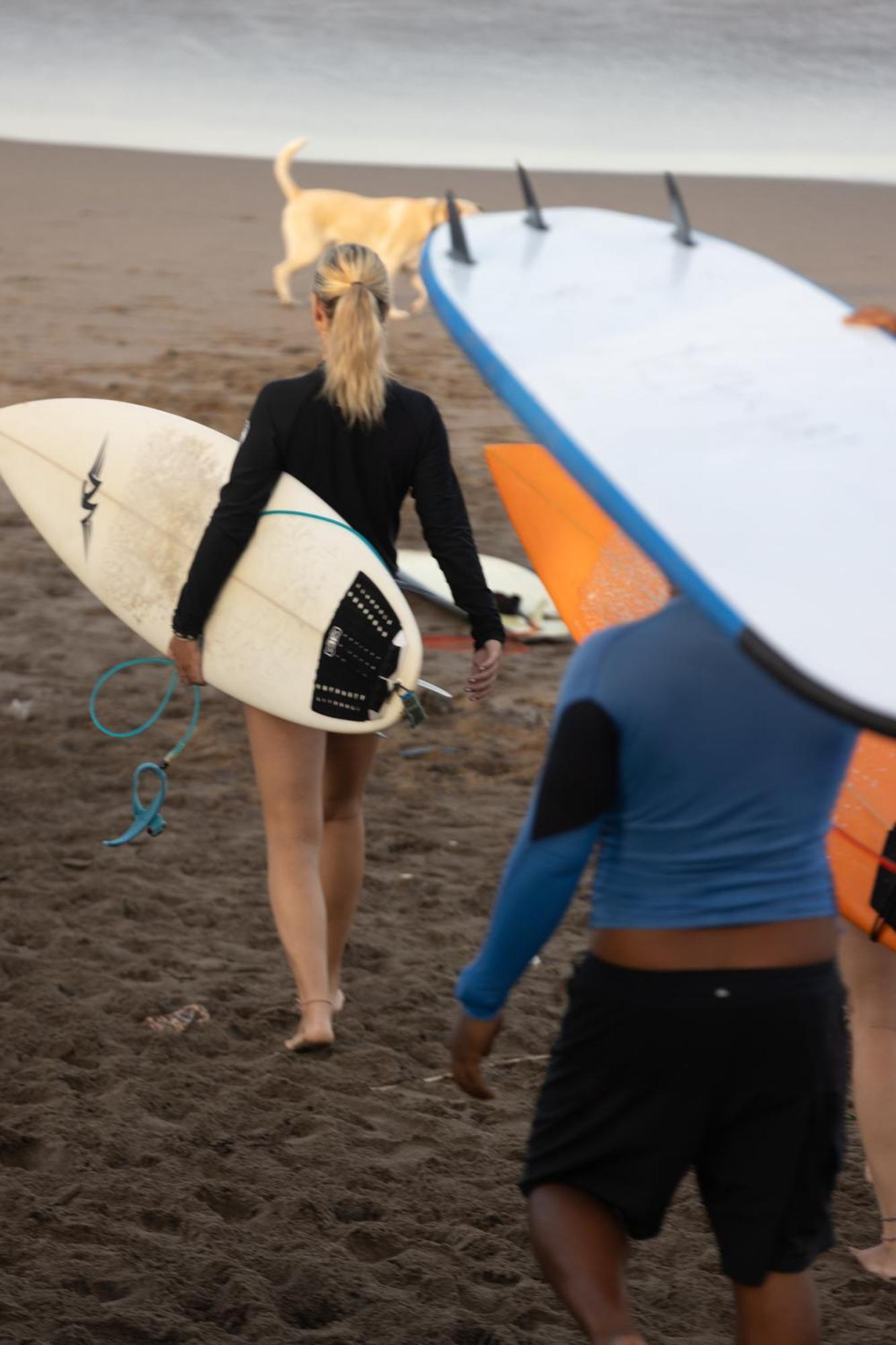 Zentiga Surf Hostel Canggu Εξωτερικό φωτογραφία